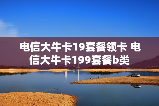 电信大牛卡19套餐领卡 电信大牛卡199套餐b类