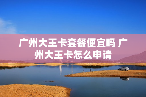 广州大王卡套餐便宜吗 广州大王卡怎么申请