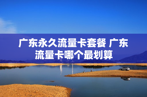 广东永久流量卡套餐 广东流量卡哪个最划算