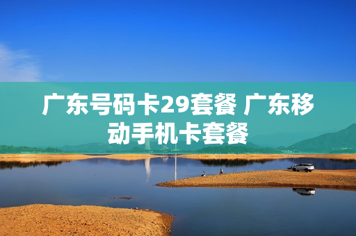 广东号码卡29套餐 广东移动手机卡套餐
