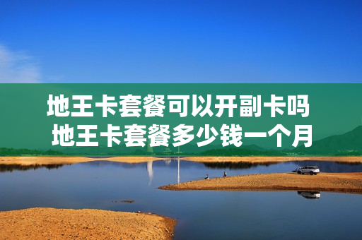 地王卡套餐可以开副卡吗 地王卡套餐多少钱一个月