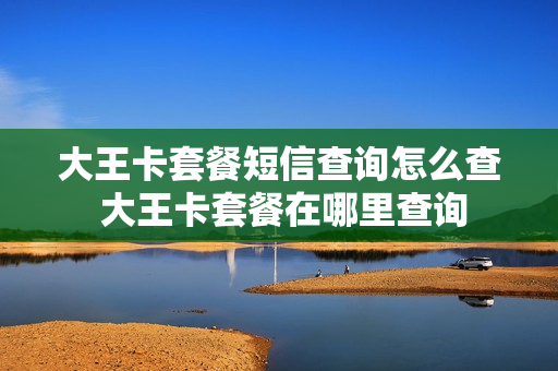 大王卡套餐短信查询怎么查 大王卡套餐在哪里查询