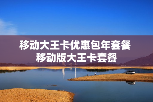 移动大王卡优惠包年套餐 移动版大王卡套餐
