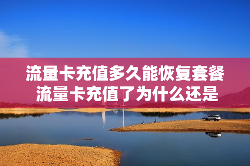 流量卡充值多久能恢复套餐 流量卡充值了为什么还是停用状态