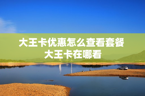 大王卡优惠怎么查看套餐 大王卡在哪看