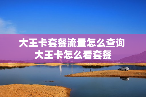 大王卡套餐流量怎么查询 大王卡怎么看套餐
