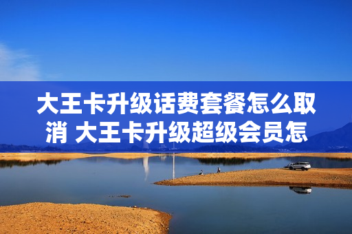 大王卡升级话费套餐怎么取消 大王卡升级超级会员怎么取消