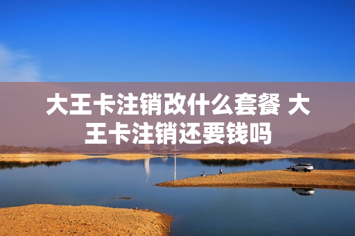 大王卡注销改什么套餐 大王卡注销还要钱吗