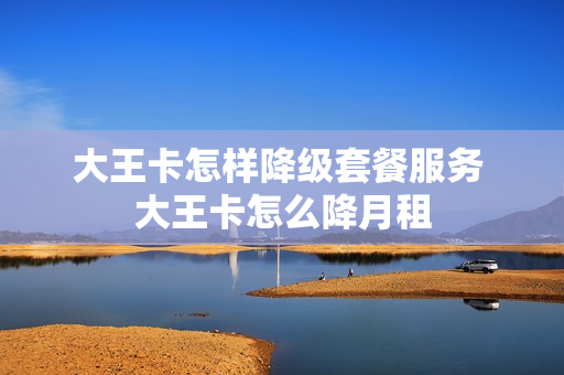 大王卡怎样降级套餐服务 大王卡怎么降月租