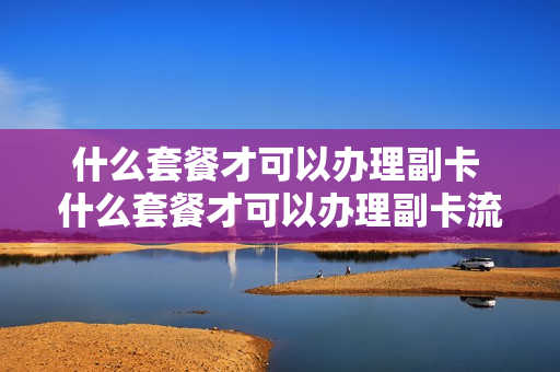 什么套餐才可以办理副卡 什么套餐才可以办理副卡流量