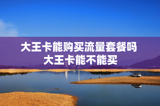 大王卡能购买流量套餐吗 大王卡能不能买