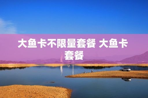 大鱼卡不限量套餐 大鱼卡 套餐