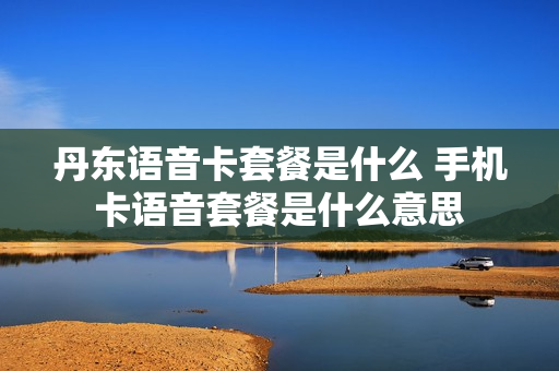 丹东语音卡套餐是什么 手机卡语音套餐是什么意思