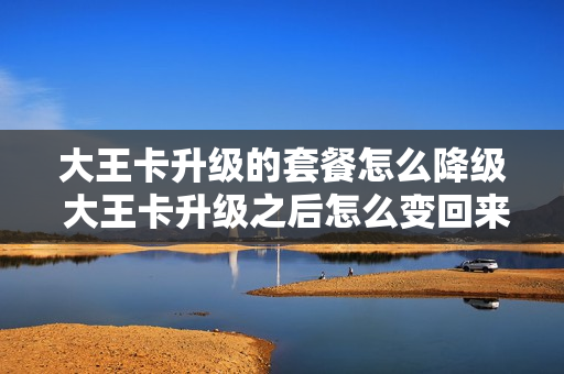 大王卡升级的套餐怎么降级 大王卡升级之后怎么变回来