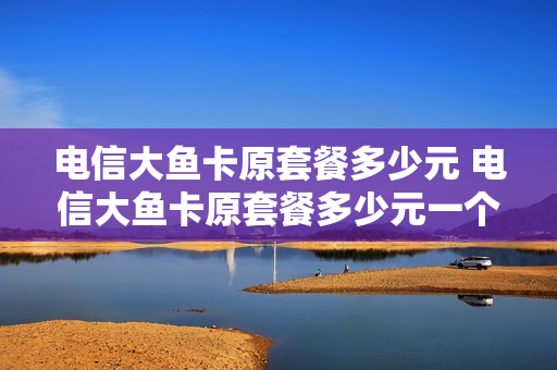 电信大鱼卡原套餐多少元 电信大鱼卡原套餐多少元一个月