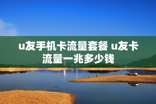 u友手机卡流量套餐 u友卡流量一兆多少钱