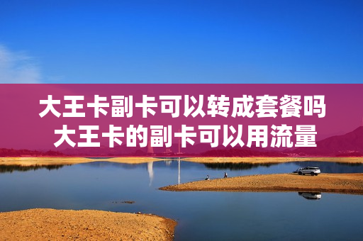 大王卡副卡可以转成套餐吗 大王卡的副卡可以用流量吗