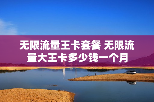 无限流量王卡套餐 无限流量大王卡多少钱一个月