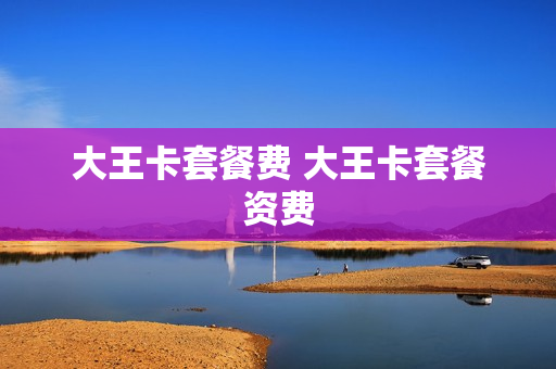 大王卡套餐费 大王卡套餐资费