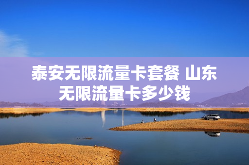 泰安无限流量卡套餐 山东无限流量卡多少钱