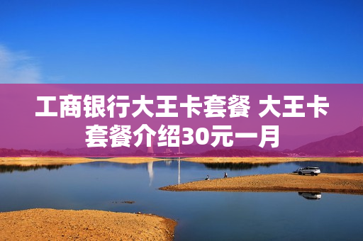 工商银行大王卡套餐 大王卡套餐介绍30元一月