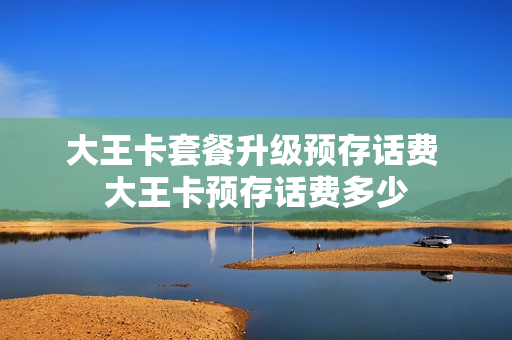 大王卡套餐升级预存话费 大王卡预存话费多少