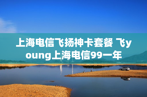 上海电信飞扬神卡套餐 飞young上海电信99一年