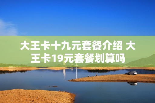 大王卡十九元套餐介绍 大王卡19元套餐划算吗