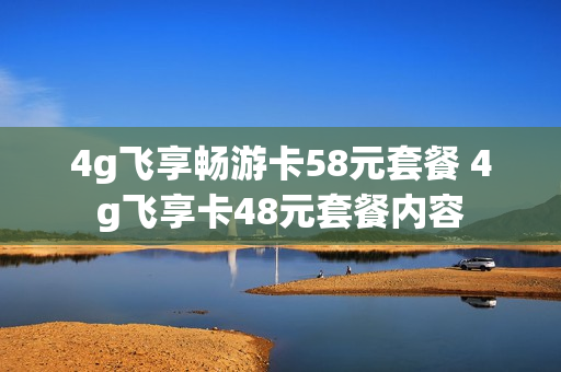 4g飞享畅游卡58元套餐 4g飞享卡48元套餐内容