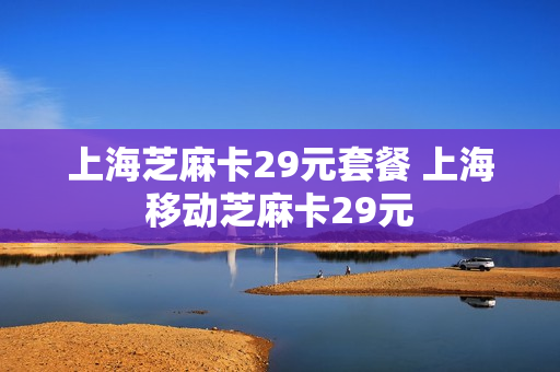 上海芝麻卡29元套餐 上海移动芝麻卡29元