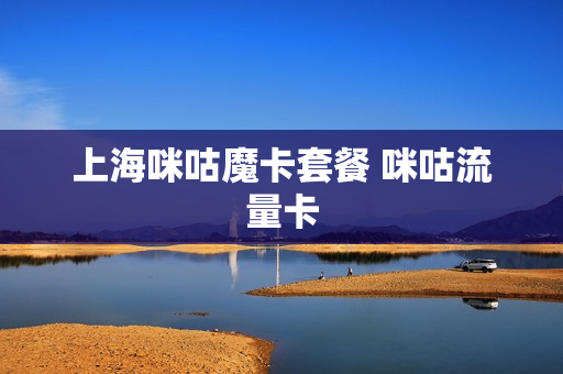 上海咪咕魔卡套餐 咪咕流量卡