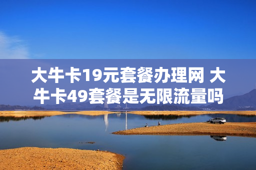 大牛卡19元套餐办理网 大牛卡49套餐是无限流量吗