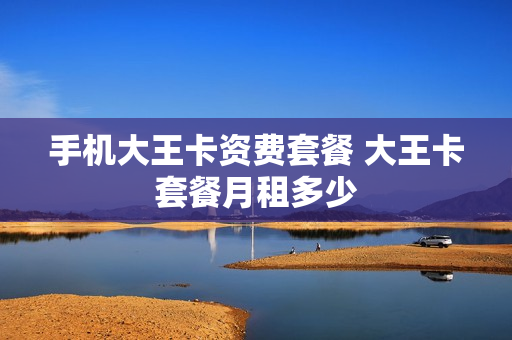 手机大王卡资费套餐 大王卡套餐月租多少