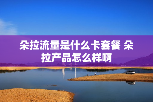 朵拉流量是什么卡套餐 朵拉产品怎么样啊