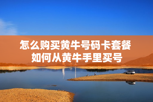 怎么购买黄牛号码卡套餐 如何从黄牛手里买号