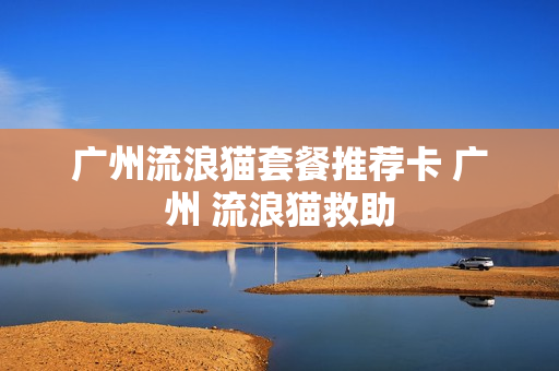 广州流浪猫套餐推荐卡 广州 流浪猫救助