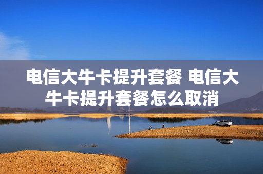 电信大牛卡提升套餐 电信大牛卡提升套餐怎么取消