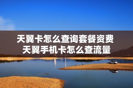 天翼卡怎么查询套餐资费 天翼手机卡怎么查流量