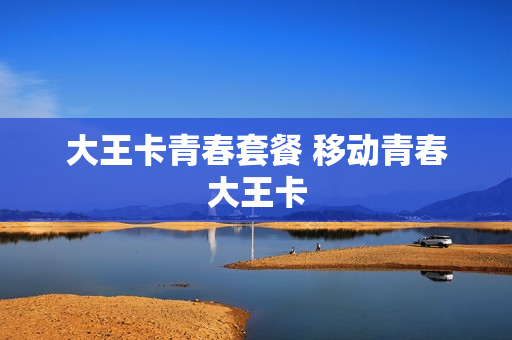 大王卡青春套餐 移动青春大王卡
