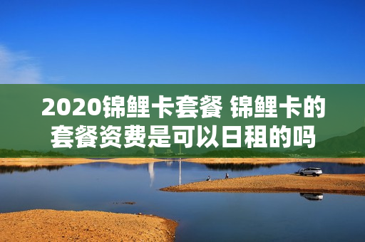 2020锦鲤卡套餐 锦鲤卡的套餐资费是可以日租的吗