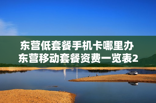 东营低套餐手机卡哪里办 东营移动套餐资费一览表2021