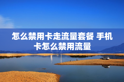 怎么禁用卡走流量套餐 手机卡怎么禁用流量