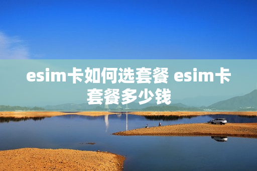 esim卡如何选套餐 esim卡套餐多少钱