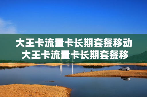 大王卡流量卡长期套餐移动 大王卡流量卡长期套餐移动可以用吗
