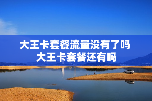 大王卡套餐流量没有了吗 大王卡套餐还有吗