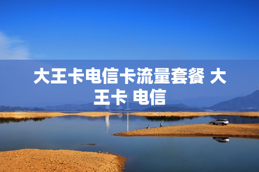 大王卡电信卡流量套餐 大王卡 电信