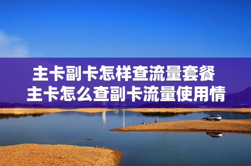 主卡副卡怎样查流量套餐 主卡怎么查副卡流量使用情况