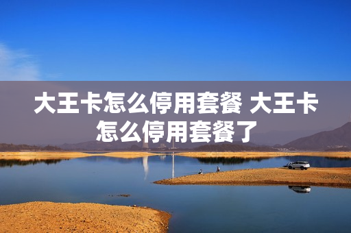 大王卡怎么停用套餐 大王卡怎么停用套餐了