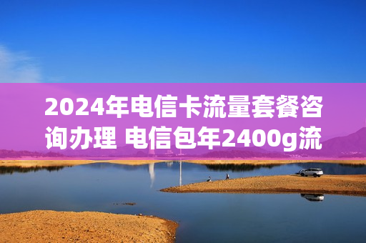 2024年电信卡流量套餐咨询办理 电信包年2400g流量卡
