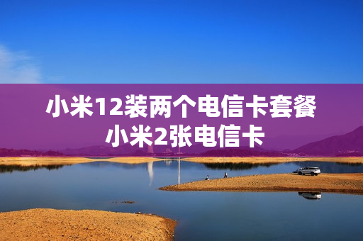 小米12装两个电信卡套餐 小米2张电信卡